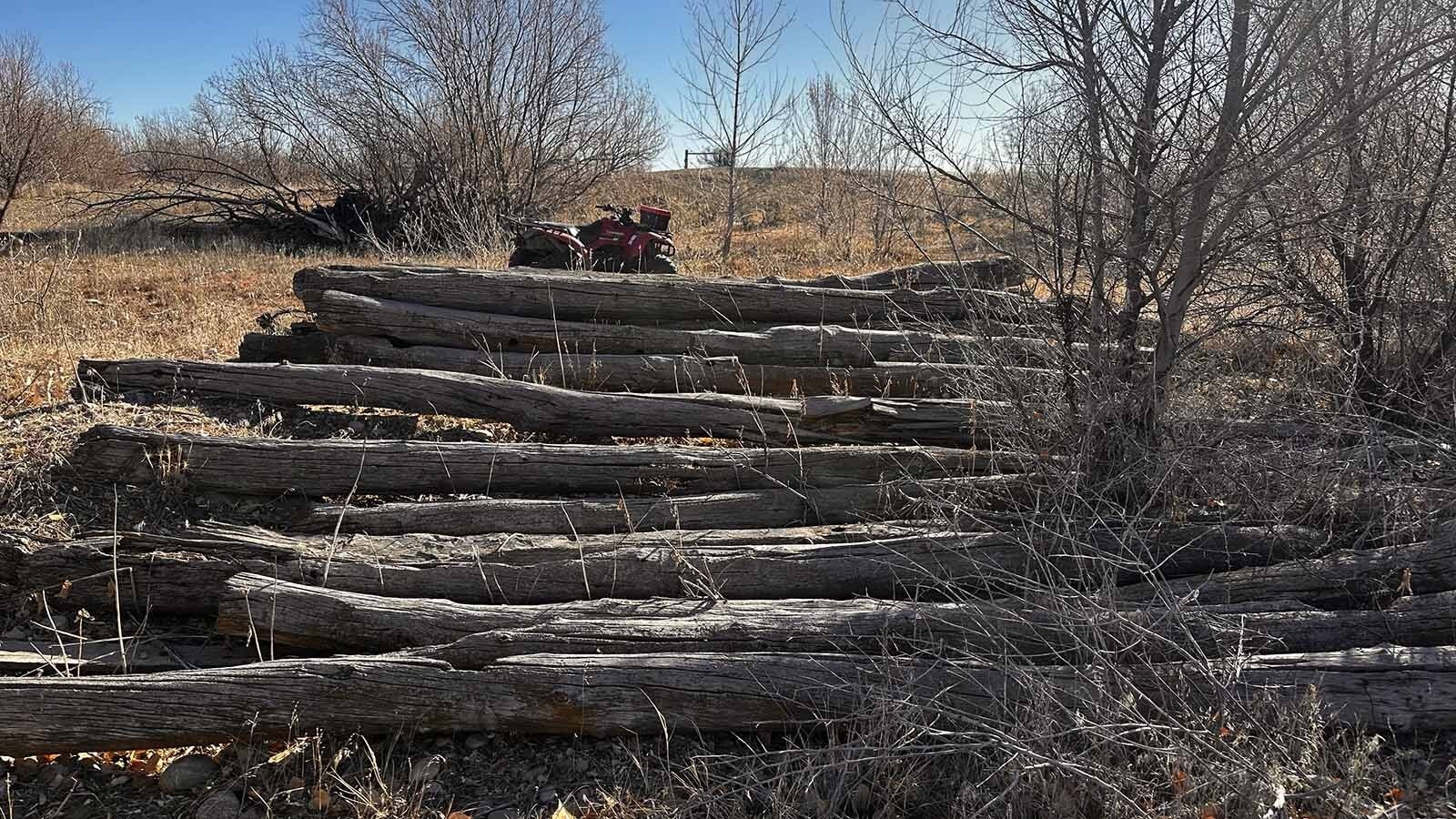 In 1885, Johnson County Sheriff Frank Canton rode up to a cabin just before dawn to arrest the notorious horse thief, Teton Jackson. The logs from the cabin have been rescued and still remain as a relic to this infamous showdown that occurred in remote Hyattville over 140 years ago.
