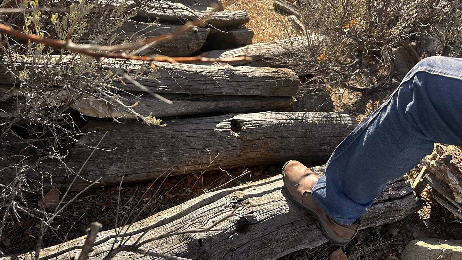 When someone is looking for history, it is sometimes written in the logs. These logs came from a cabin that was built in the 1870s and was the temporary hideout for the notorious horse thief Teton Jackson. Sheriff Frank Canton and his deputies had surrounded the cabin and surprised Teton Jackson in 1885, successfully arresting the wanted bandit.