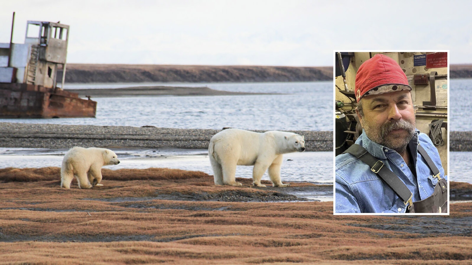 There are plenty of huge polar bears prowling near the oil fields of Alaska's North Slope, where Gillette resident Tex McBride works two to three weeks at a time.