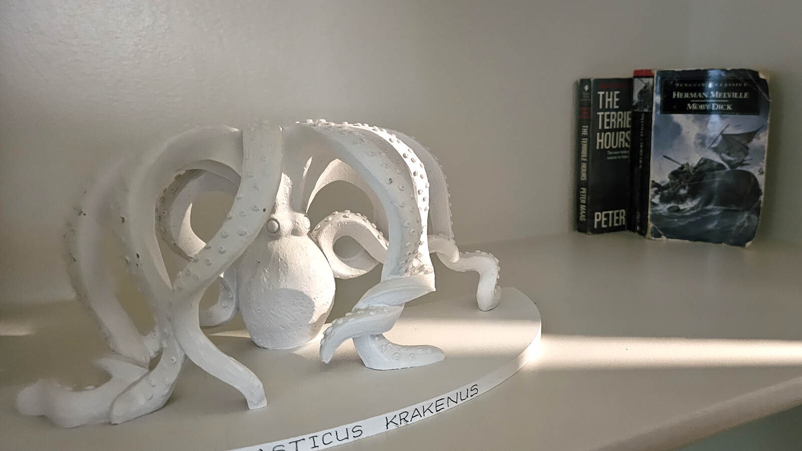 An octopus decorates a shelf in a downstairs bedroom, with books to read behind it.