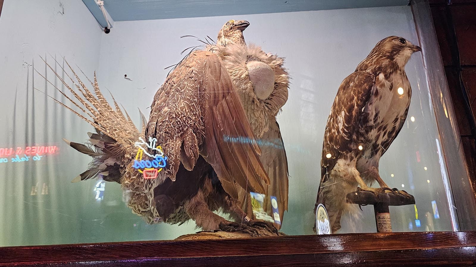 A variety of taxidermied animals from various parts of the world decorate The Mint Bar in Sheridan.