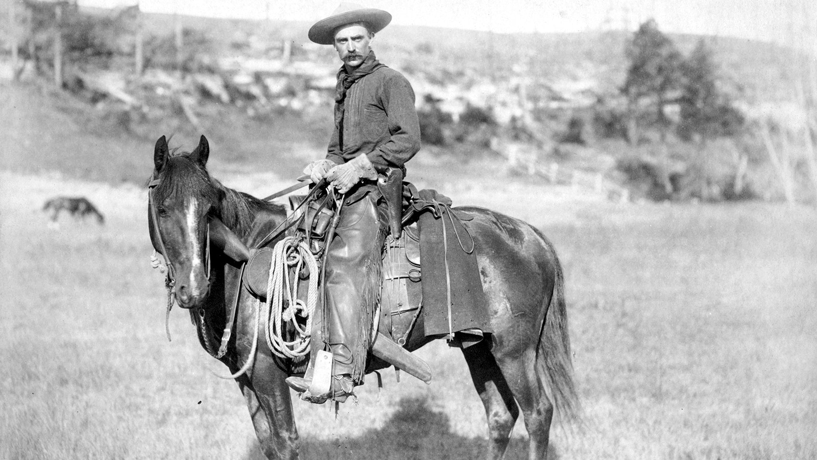 The cowboys who worked in the Rocky Mountain territories were a breed of tough men, but even they were no match for the White Devil, a white stallion who protected his herds in the Wyomng Rattlesnake Range.