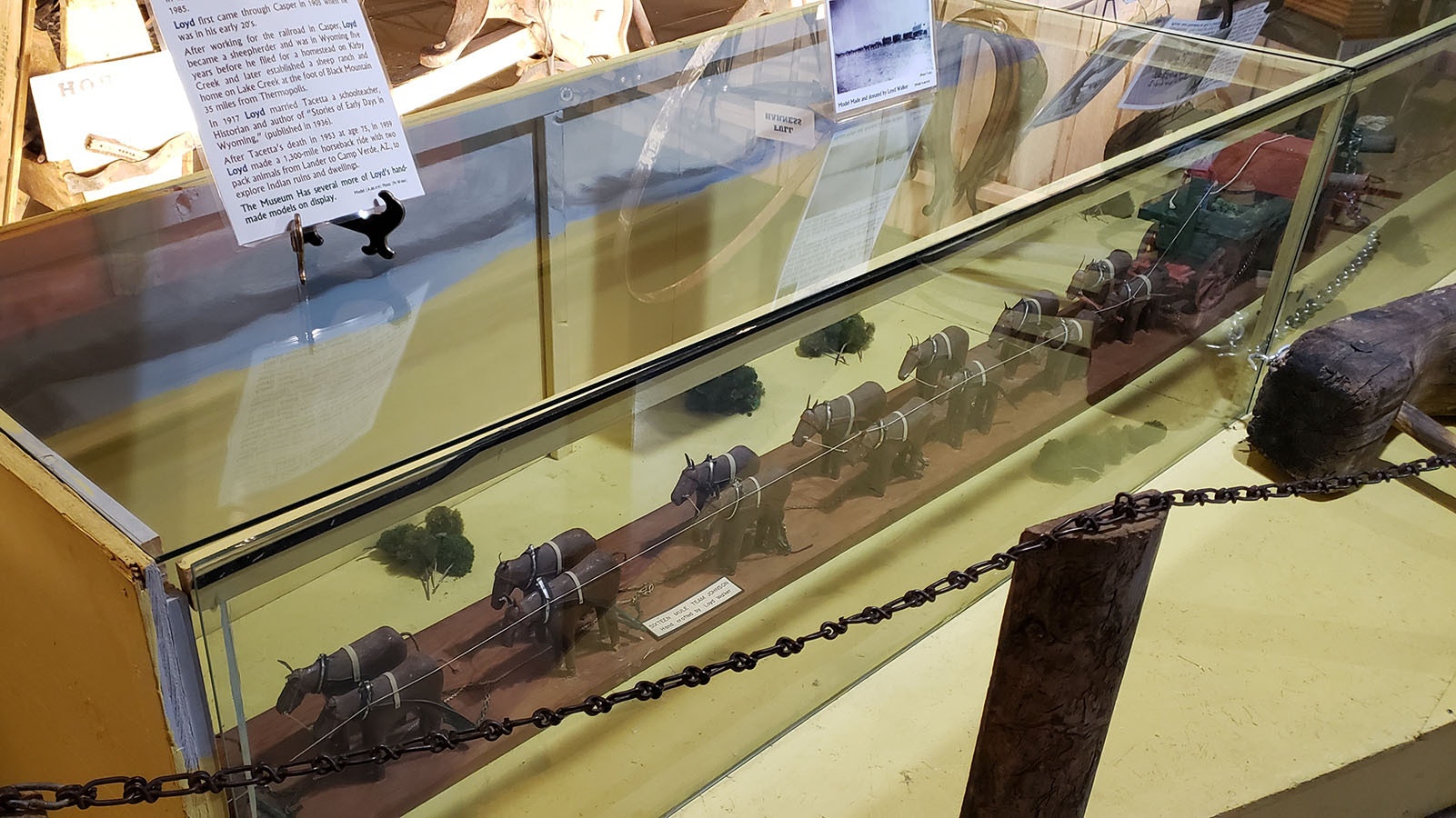 A model of Henry "Sixteen Mule Team" Johnson's rig is in the Hot Springs County Museum Cultural Center.