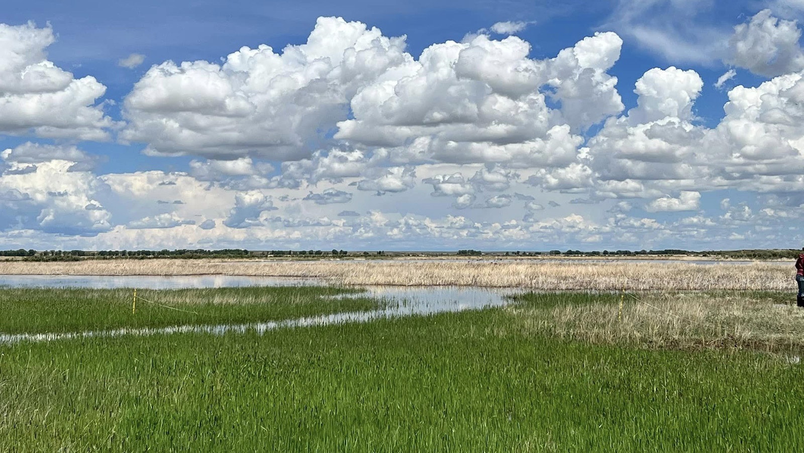 The federal government recently bought roughly 1,000 acres near Larmie for $2 million for the Wyoming Toad Conservation Area.