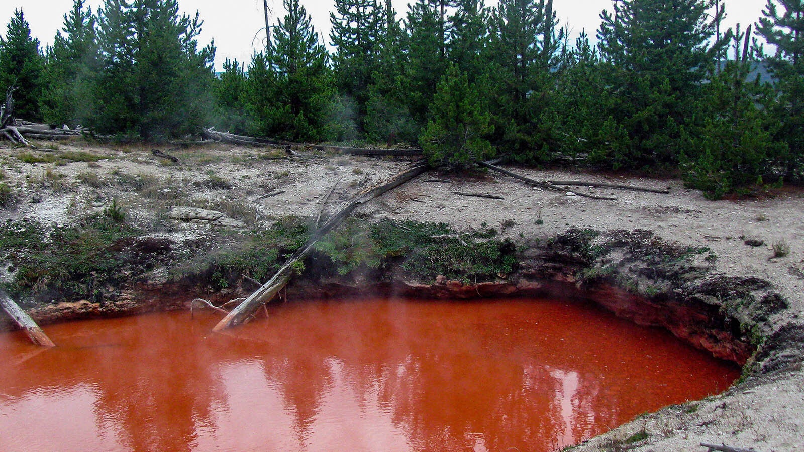 Tomato Soup Pool in Yellowstone National Park.