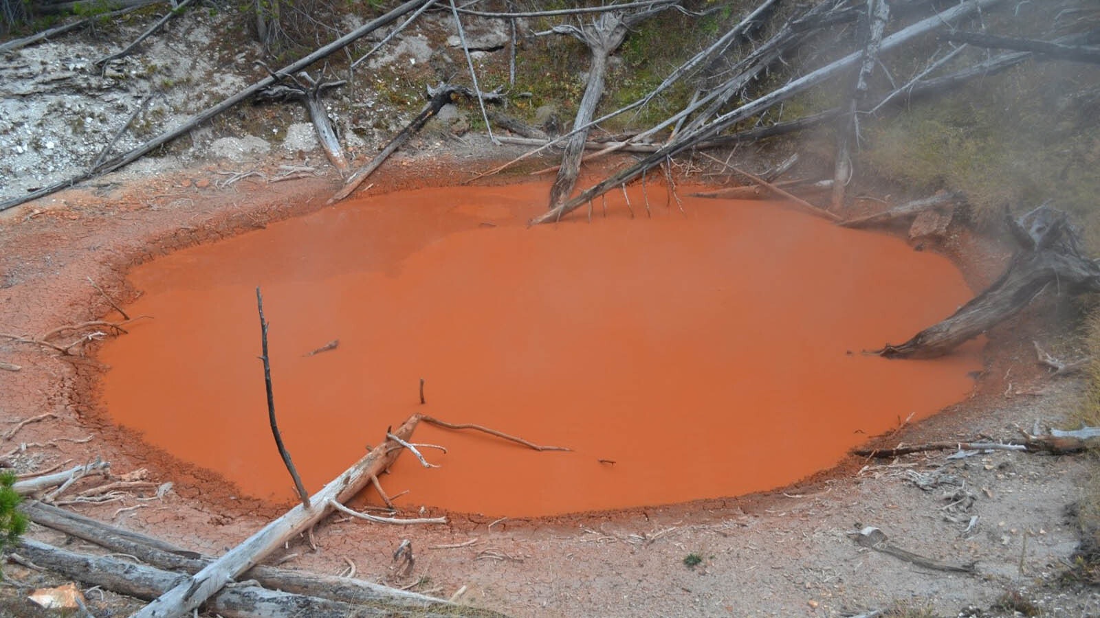 Tomato Soup Pool in Yellowstone National Park is near the Midway Geyser Basin, and has been off limits since 2016.