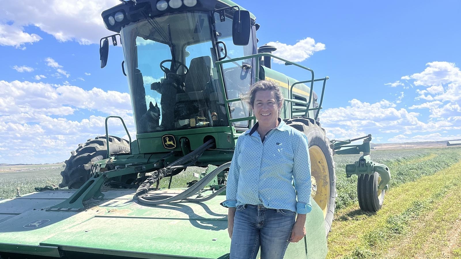 Incumbent District 6 Rep. Tomi Strock was baling hay on Tuesday. She ended the day by defeating a familiar challenger for the second time.