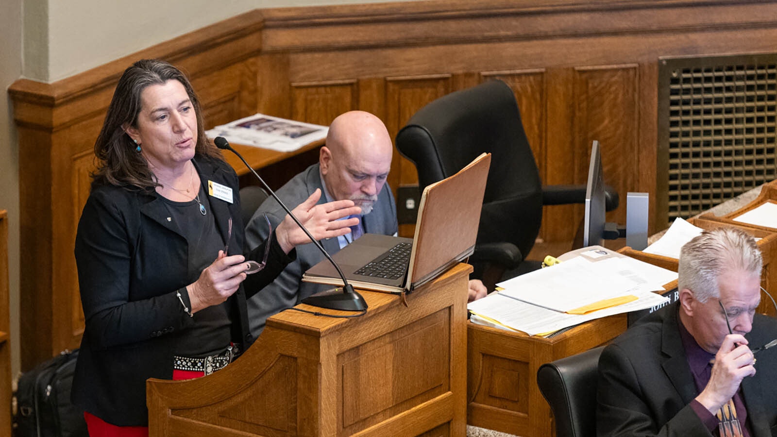 Rep. Tomi Strock, R-Douglas, talks about the crumbling La Prele Dam on the House floor Tuesday, Feb. 11, 2025.