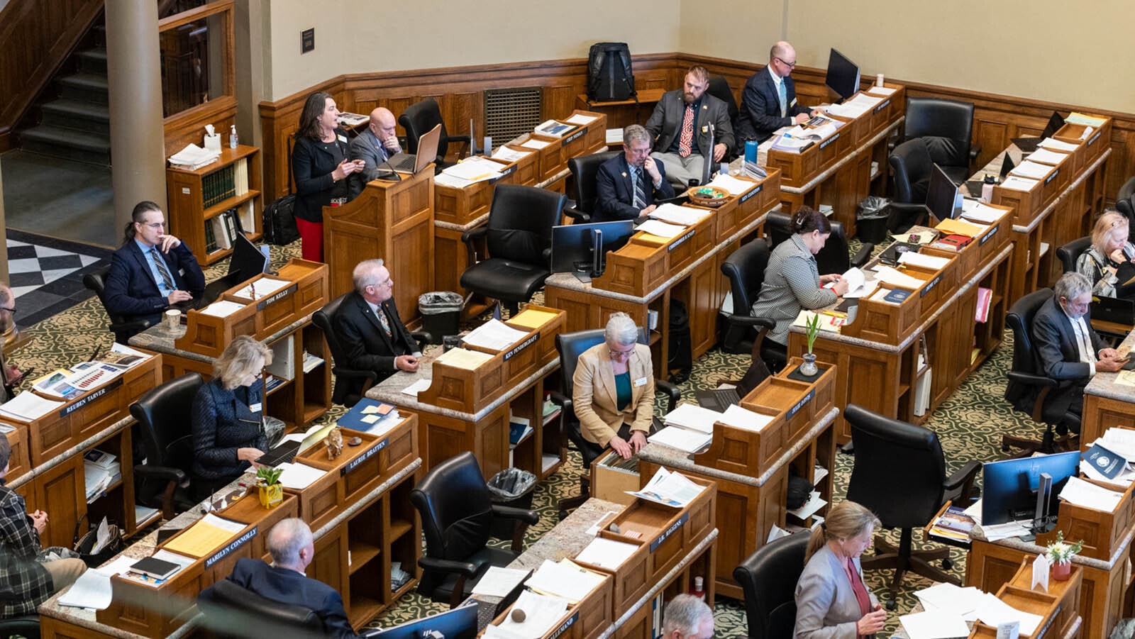 Rep. Tomi Strock, R-Douglas, talks about the crumbling La Prele Dam on the House floor Tuesday, Feb. 11, 2025.