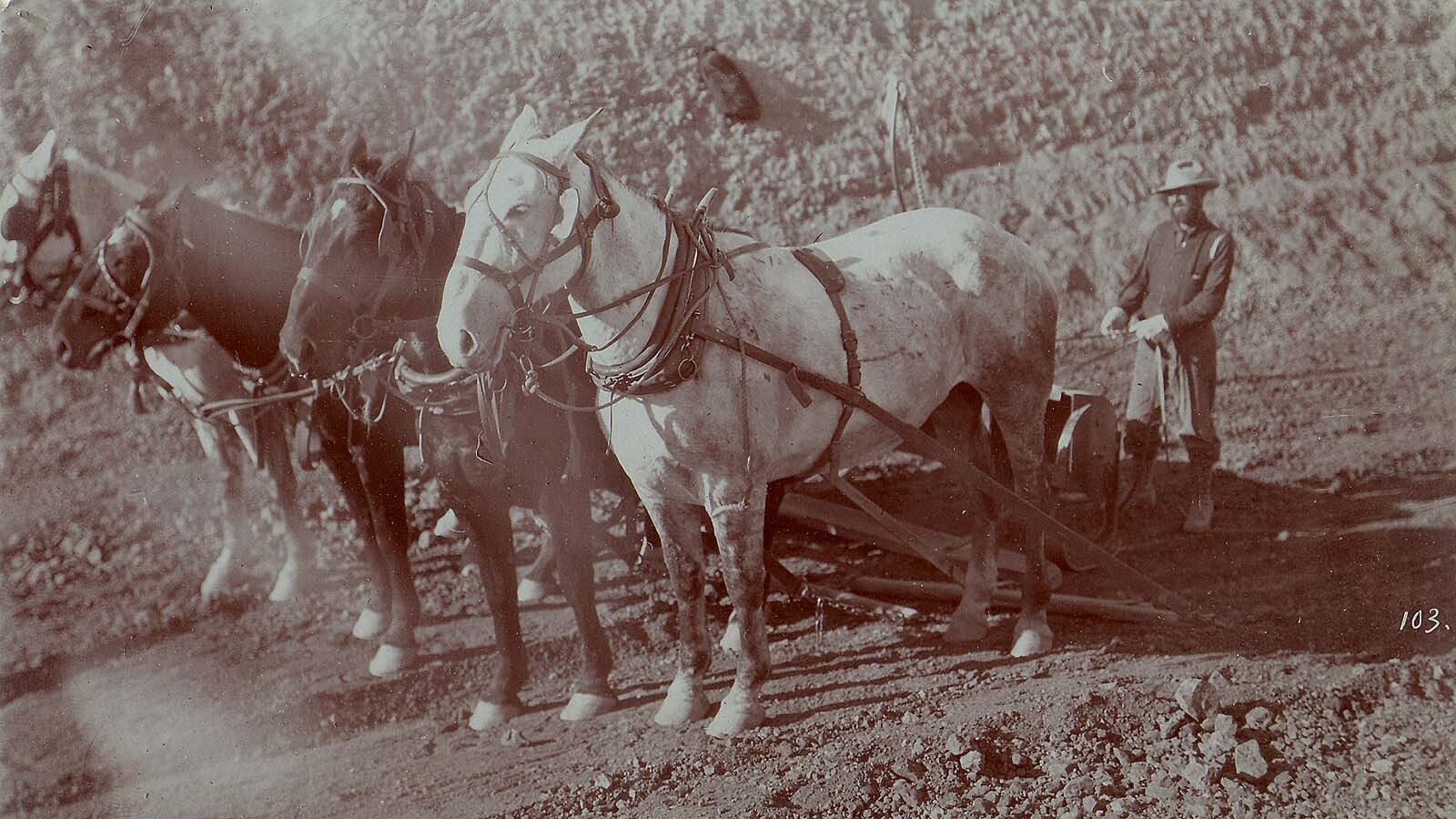 Elmer Chatfield was a pioneer along the Spring Creek, south of Ten Sleep, Wyoming. He was known for helping to bring modern conveniences to his region such as helping to build the Big Horn Basin canals as pictured here.