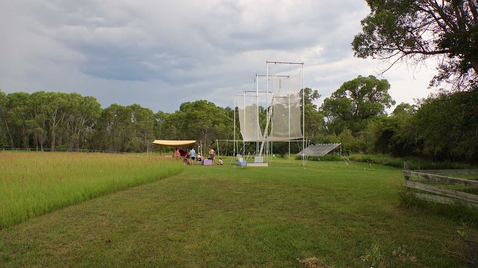 The back at the Tobi property contains something not found anywhere else in the state.