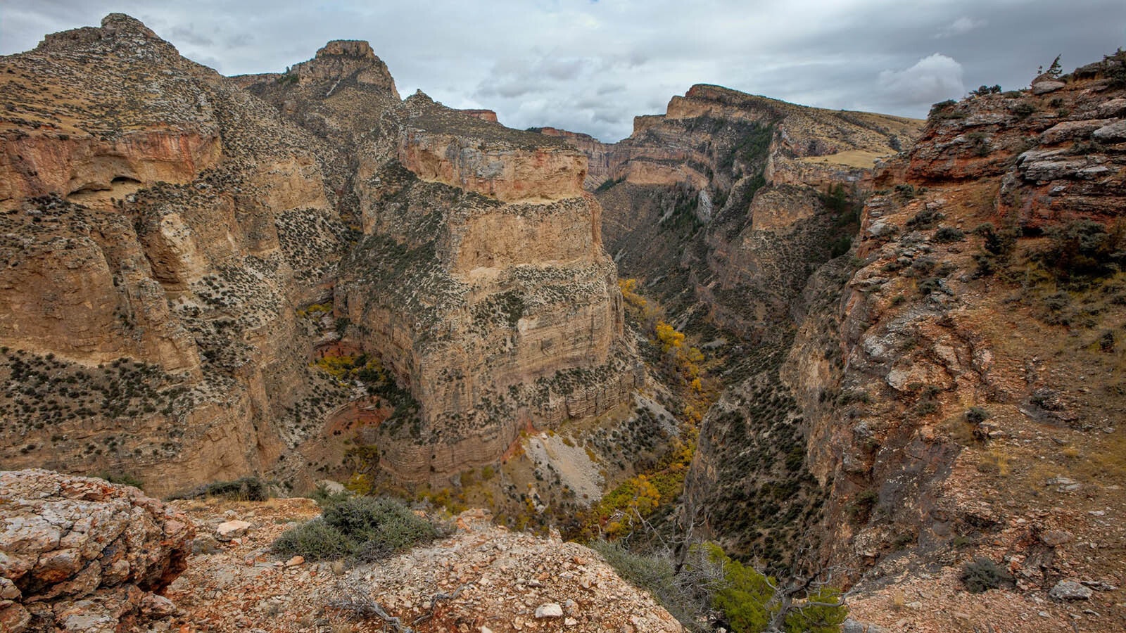 The Trapper Creek area in Wyoming's Bighorn Mountains.