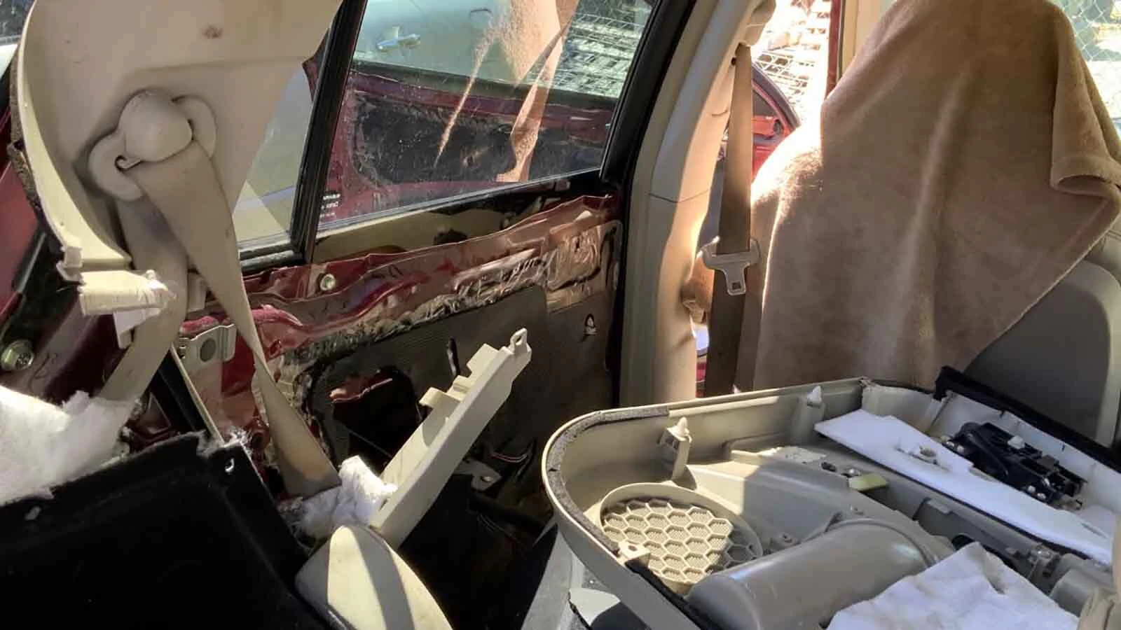 The aftermath of a bear break-in shows a vehicle interior ripped down to its underlying panels and wiring.