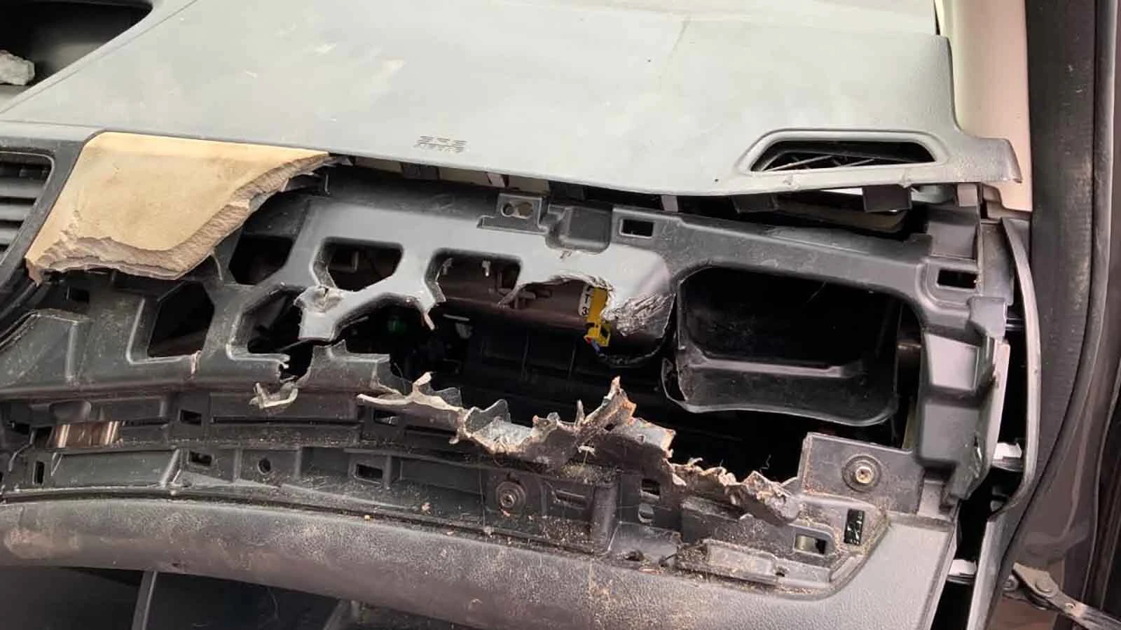 The aftermath of a bear break-in shows a vehicle interior ripped down to its underlying panels and wiring.