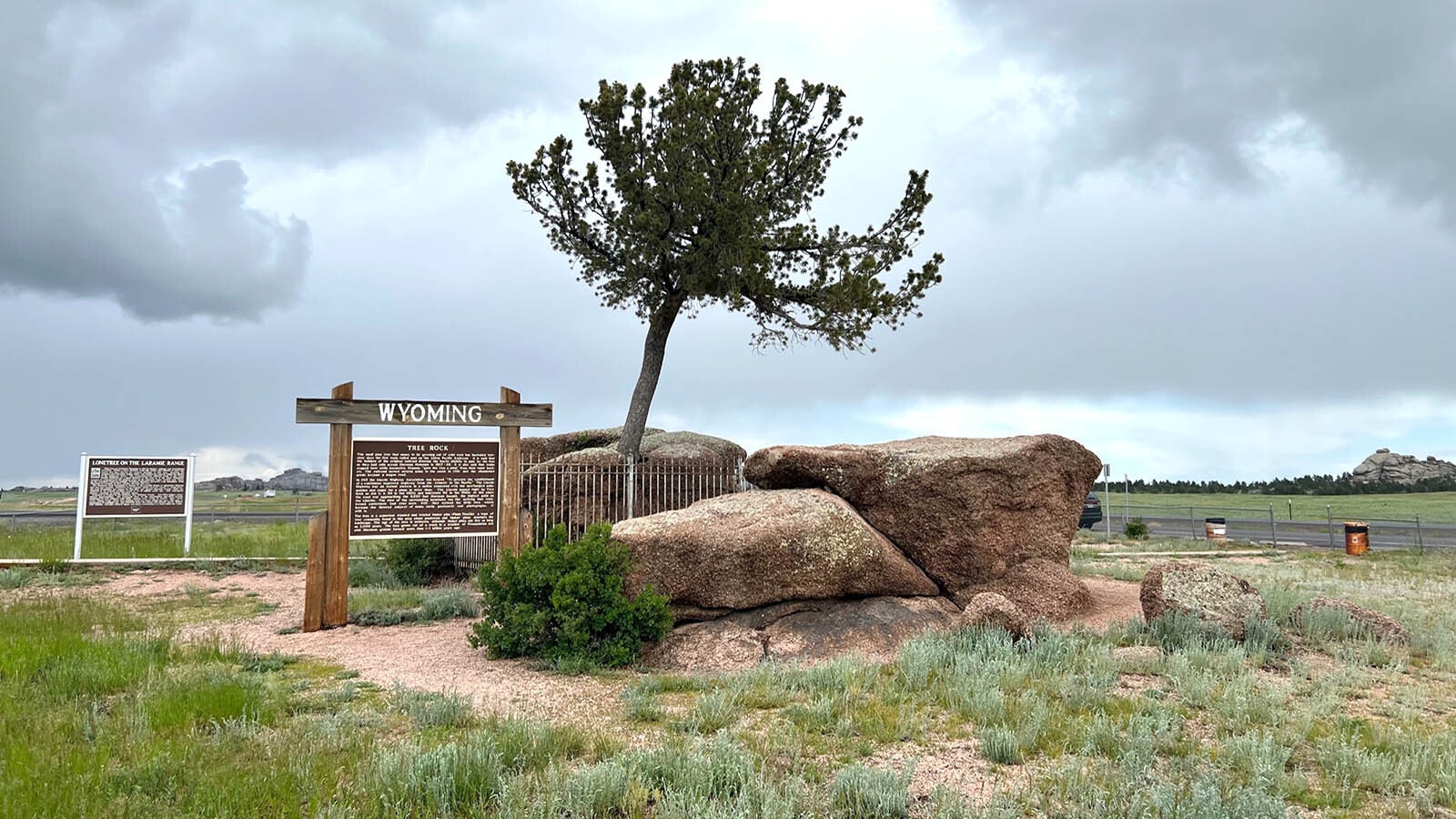 Tree Rock is a limber pine discovered growing out of a boulder in 1868 when the Union Pacific Railroad build the railroad 50 feet from it. It's now in the middle of Interstate 80 about 30 miles west of Cheyenne.