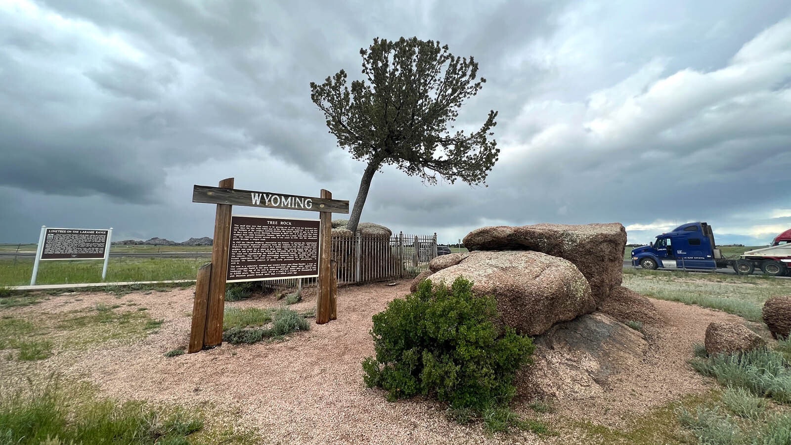Tree Rock is a limber pine discovered growing out of a boulder in 1868 when the Union Pacific Railroad build the railroad 50 feet from it. It's now in the middle of Interstate 80 about 30 miles west of Cheyenne.