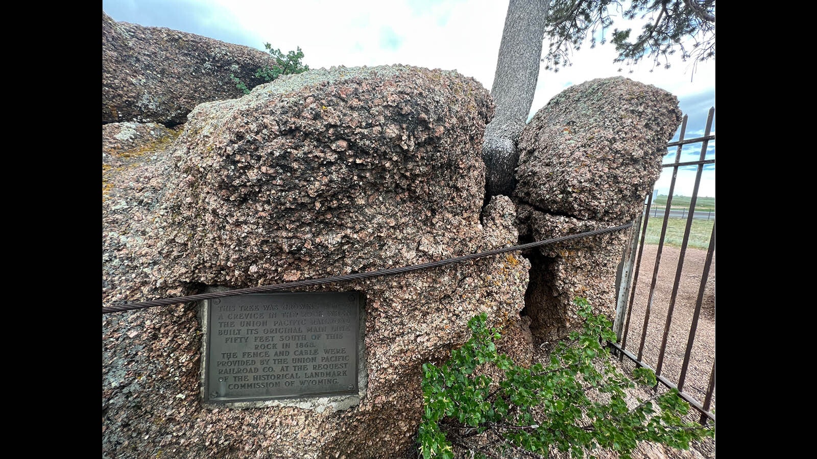 It's weathered and aged now, but this plaque on the side of Tree Rock tells the story of how it was discovered in 1868.