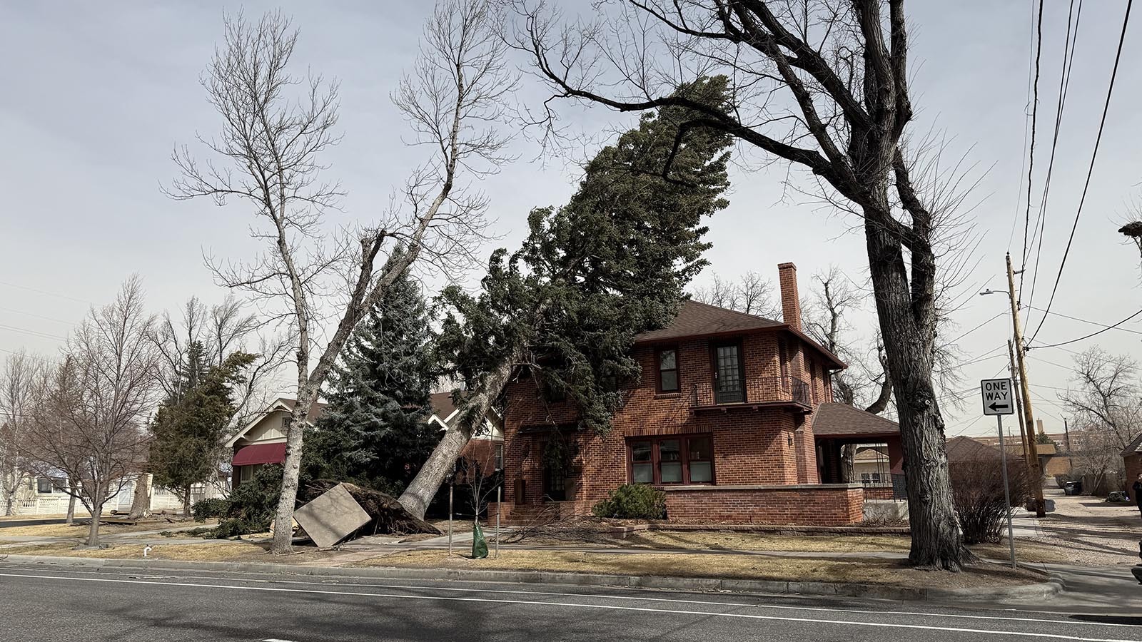 Hurricane force winds uprooted large trees all across Cheyenne on Friday, causing considerable damage.