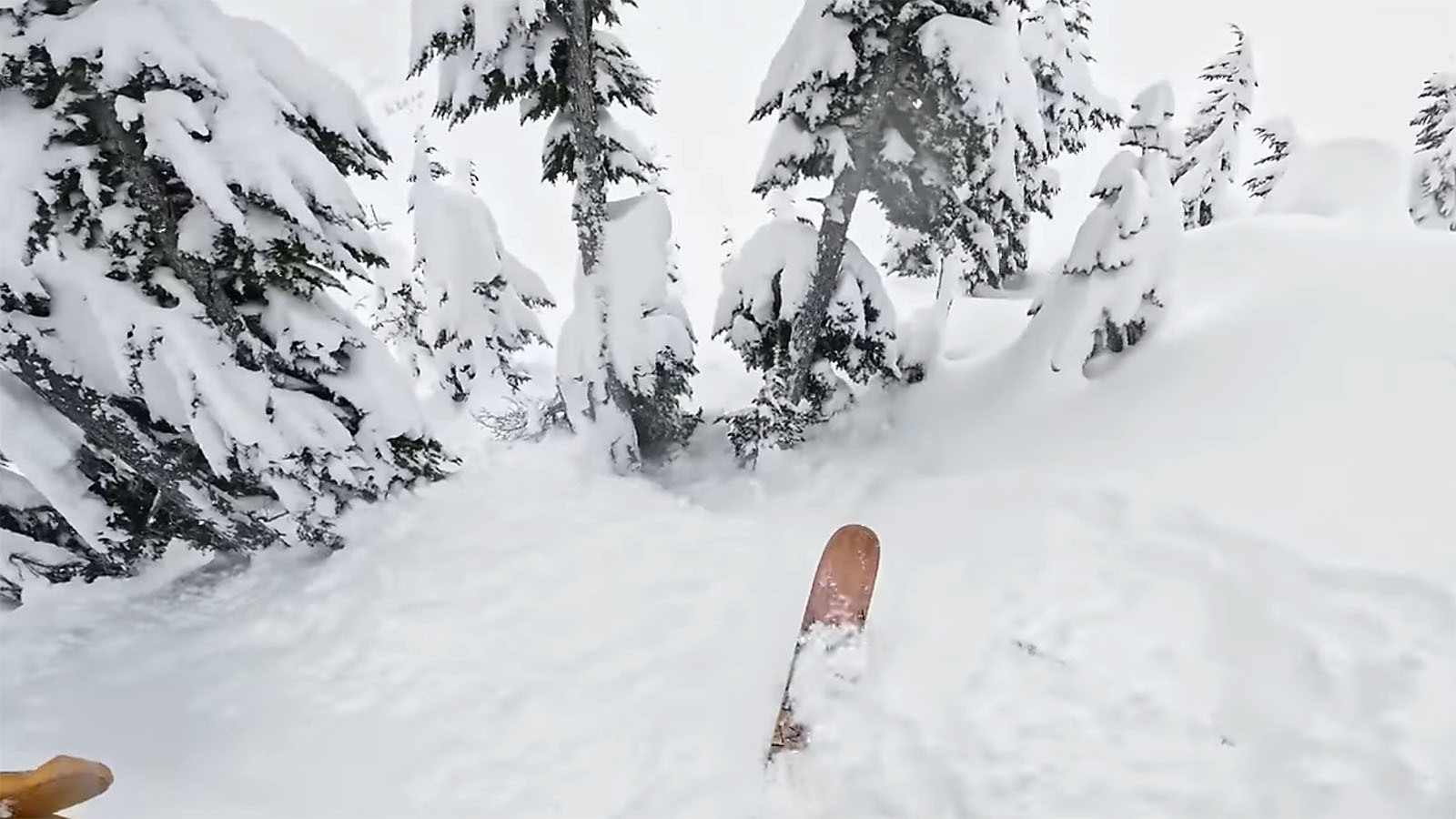 Why Tree Wells Are So Deadly For Skiers And Snowboarders | Your Wyoming ...