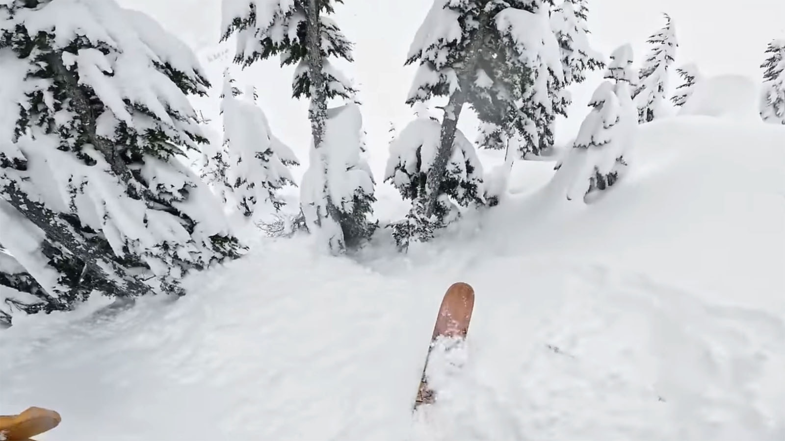 In a dramatic GoPro video, a Washington state skier makes his way through a stand of trees in the backcountry, with deep wells of snow around them.