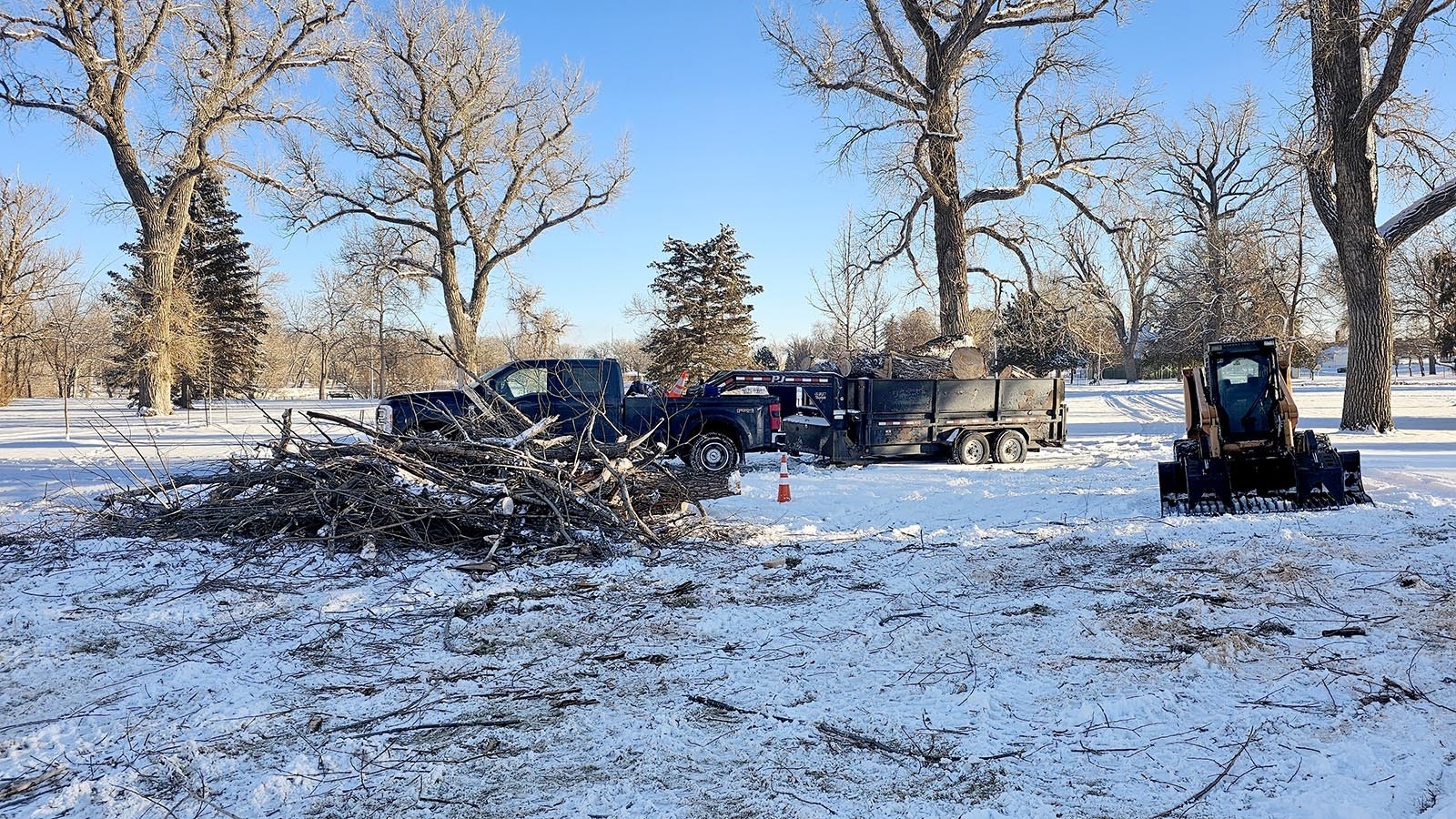 Twigs piled to one side, and a trailer are loaded with wood from cottonwoods removed from Holliday Park.