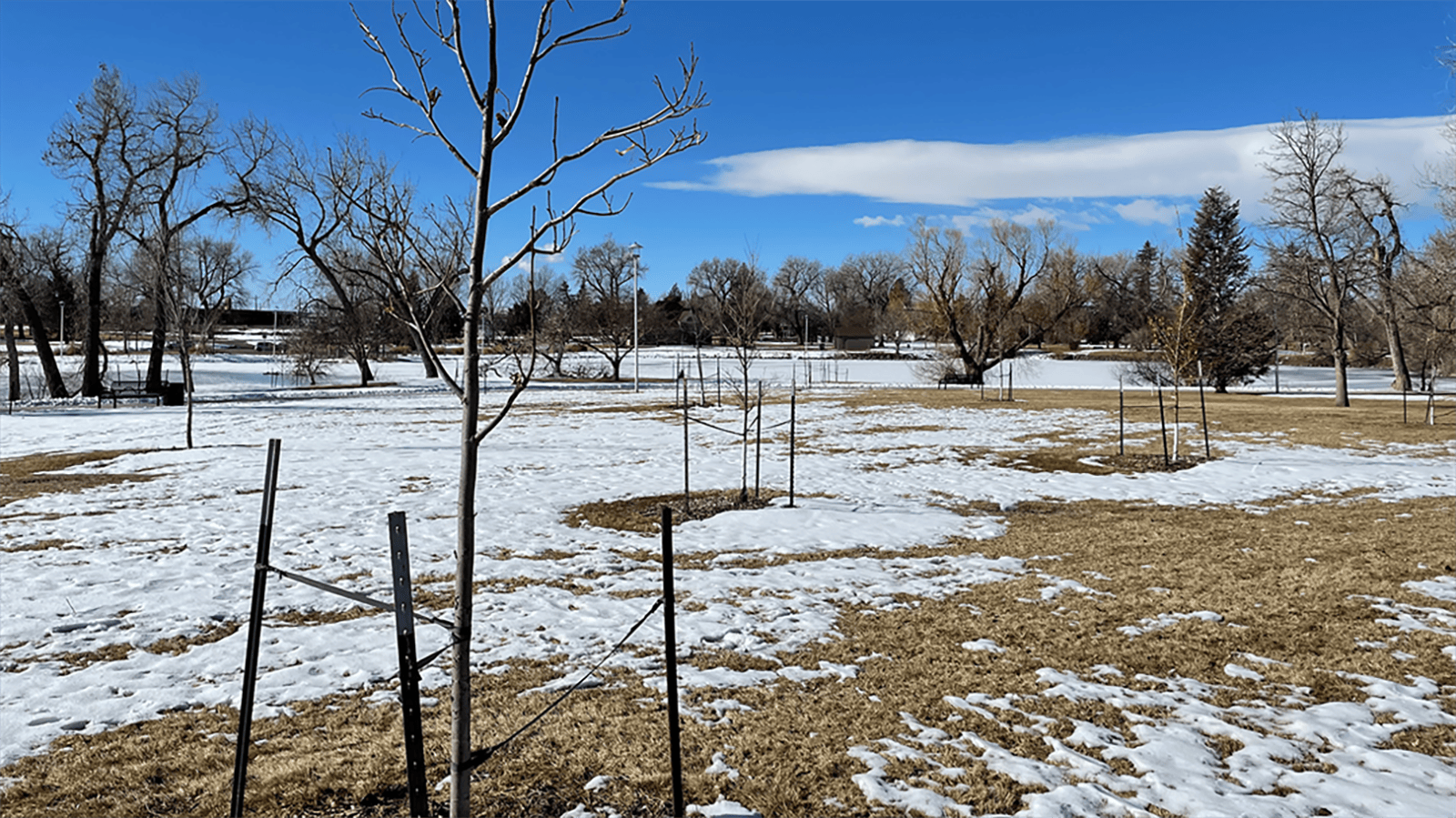 As unseasonably warm weather, dry winds and a lack of snow continue to plague most regions of Wyoming, people are watering their trees and fields as if it was spring or summer. Experts say it is vital to water in winter when temps soar above 40.