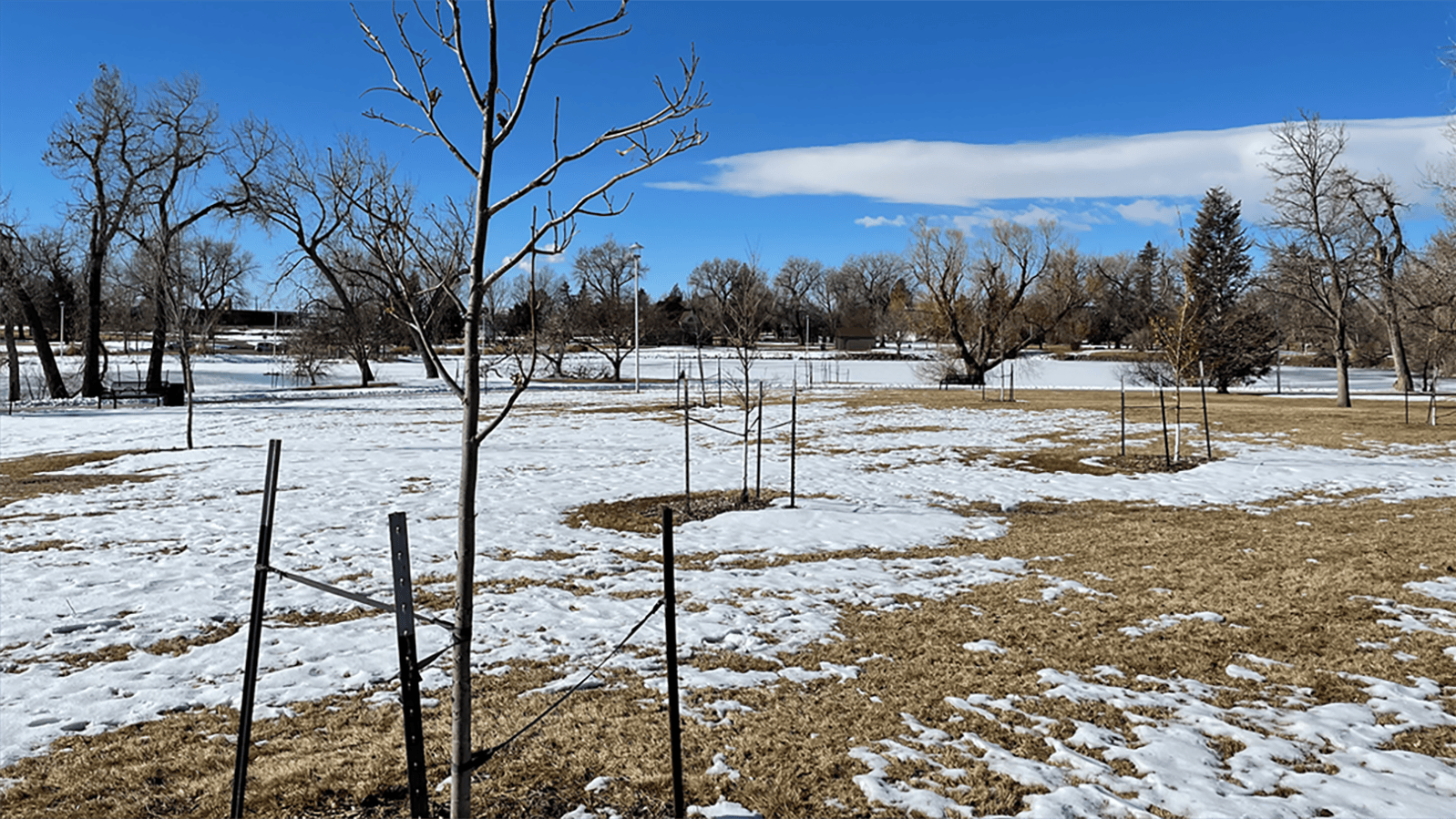 As unseasonably warm weather, dry winds and a lack of snow continue to plague most regions of Wyoming, people are watering their trees and fields as if it was spring or summer. Experts say it is vital to water in winter when temps soar above 40.