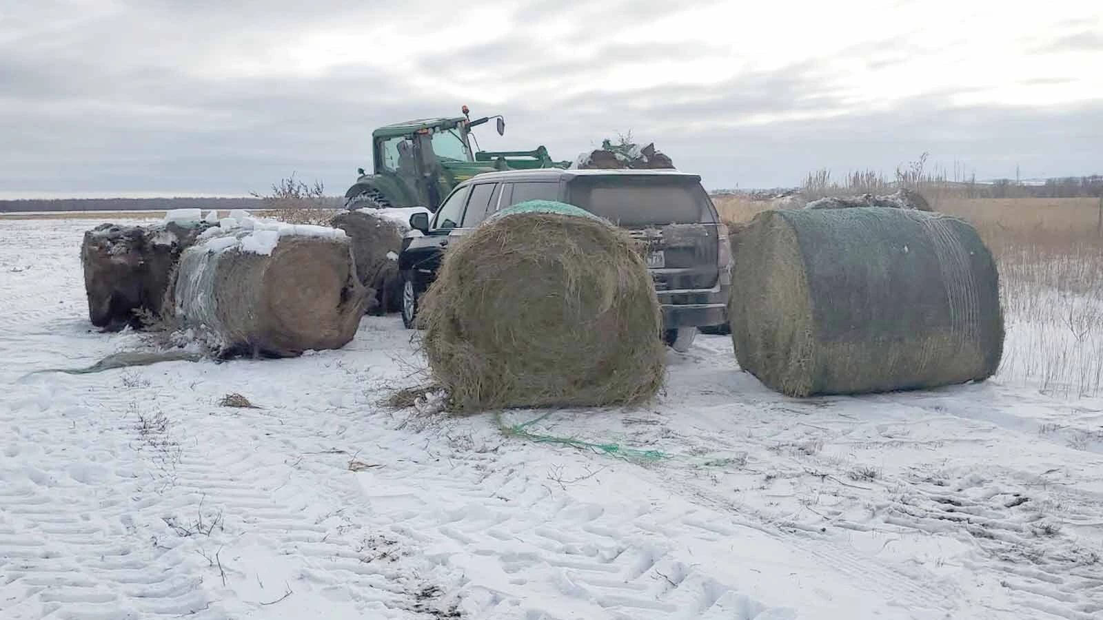 Montana rancher Shawn Bilquist took matters into his own hands when he found a truck he didn't recognize parked on his property: He surrounded the truck with hay bales and left if up to the owner to figure out how to get out.