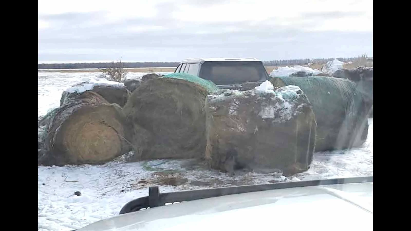 Montana rancher Shawn Bilquist took matters into his own hands when he found a truck he didn't recognize parked on his property: He surrounded the truck with hay bales and left if up to the owner to figure out how to get out.