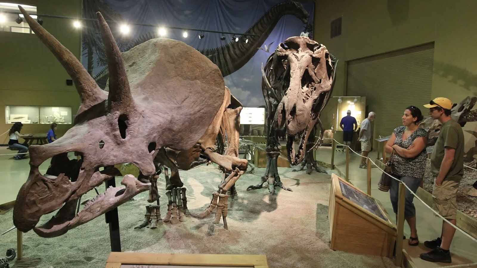A Triceratops named “Trey” has been a popular exhibit at the Wyoming Dinosaur Center in Thermopolis for 30 years. Now it’s hit the auction block, and could sell for up to $5.5 million. Some worry Wyoming’s dinosaurs could disappear “with one phone call."