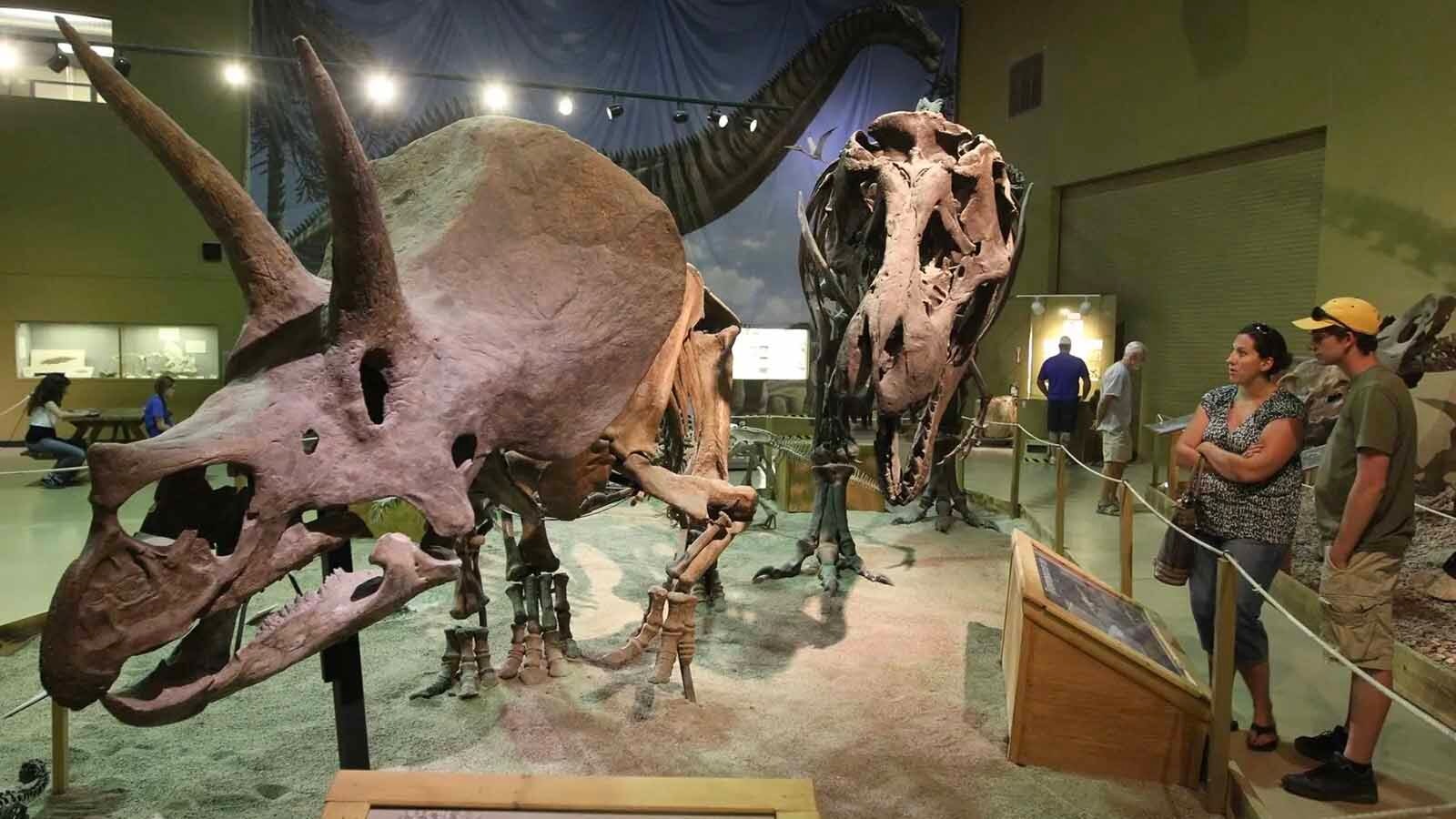 A Triceratops named “Trey” has been a popular exhibit at the Wyoming Dinosaur Center in Thermopolis for 30 years. Now it’s hit the auction block, and could sell for up to $5.5 million. Some worry Wyoming’s dinosaurs could disappear “with one phone call."