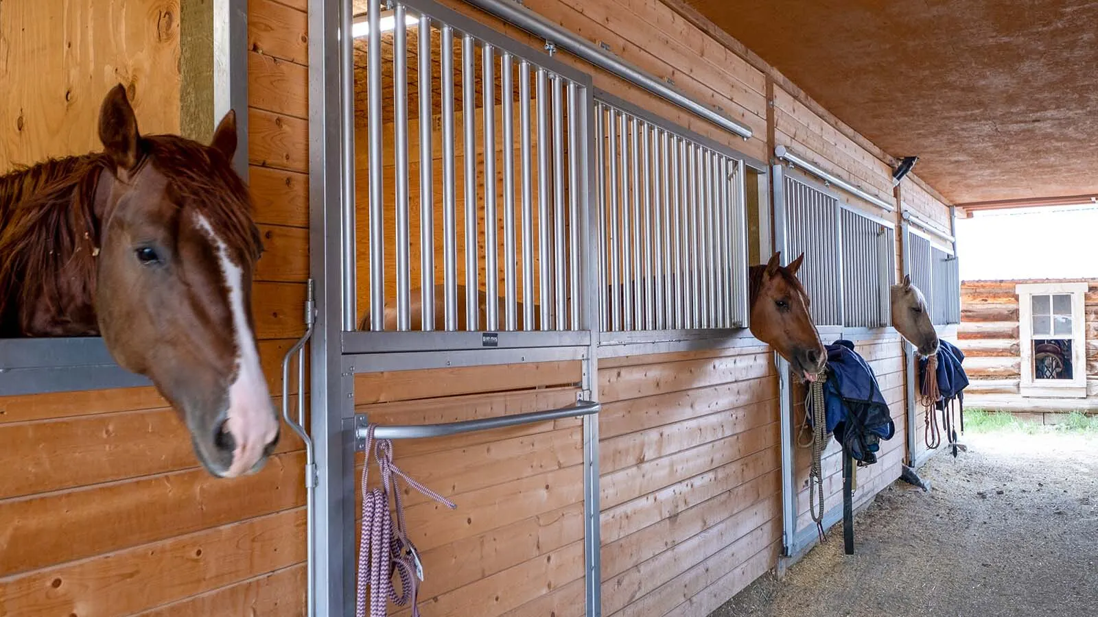 Nearly 100-Year-Old Triangle C Ranch Near Dubois Lists For $4.95 ...