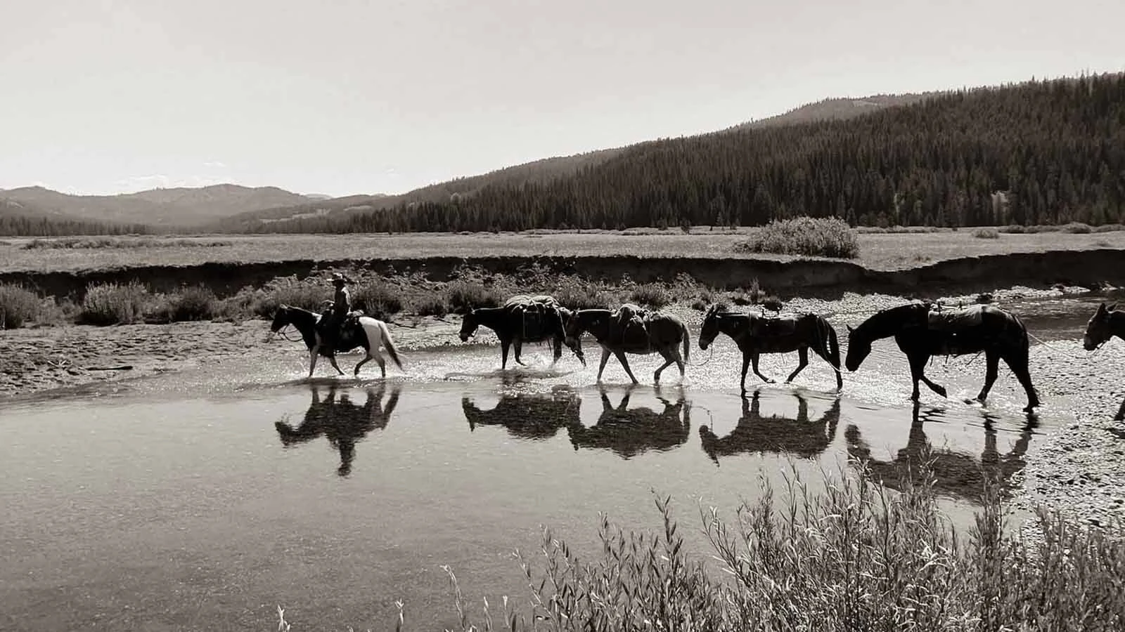 This year marks the 100th anniversary of the legendary Triangle X Ranch in Grand Teton National Park, now led by a fifth generation of the Turner family.