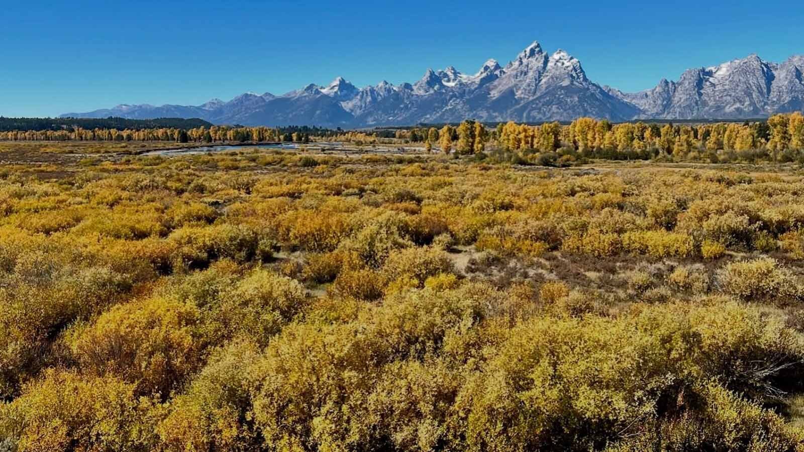 Triangle X Ranch At 100: Fifth Generation Leads Legendary Wyoming Dude ...