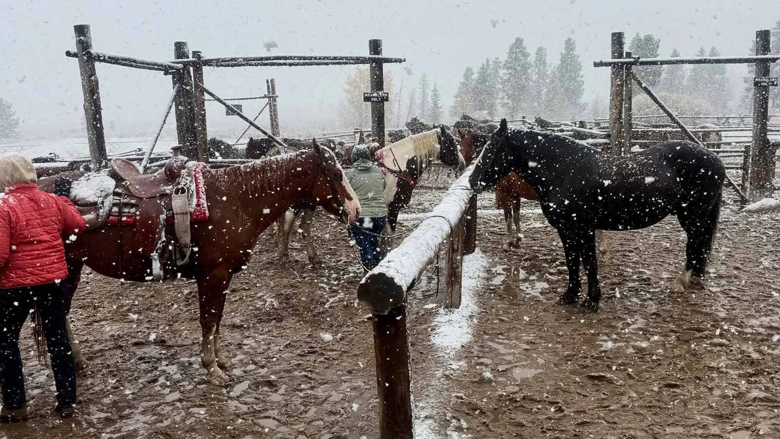This year marks the 100th anniversary of the legendary Triangle X Ranch in Grand Teton National Park, now led by a fifth generation of the Turner family.