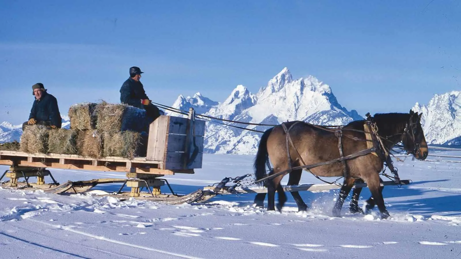 Triangle X Ranch At 100: Fourth Generation Leads Legendary Wyoming Dude ...