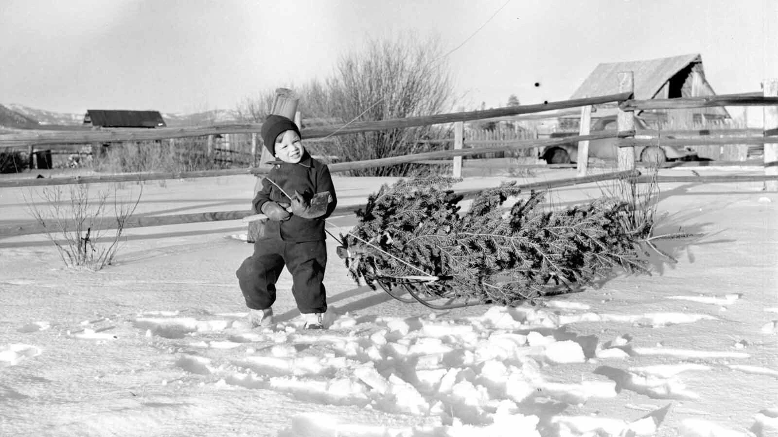 This year marks the 100th anniversary of the legendary Triangle X Ranch in Grand Teton National Park, now led by a fifth generation of the Turner family.