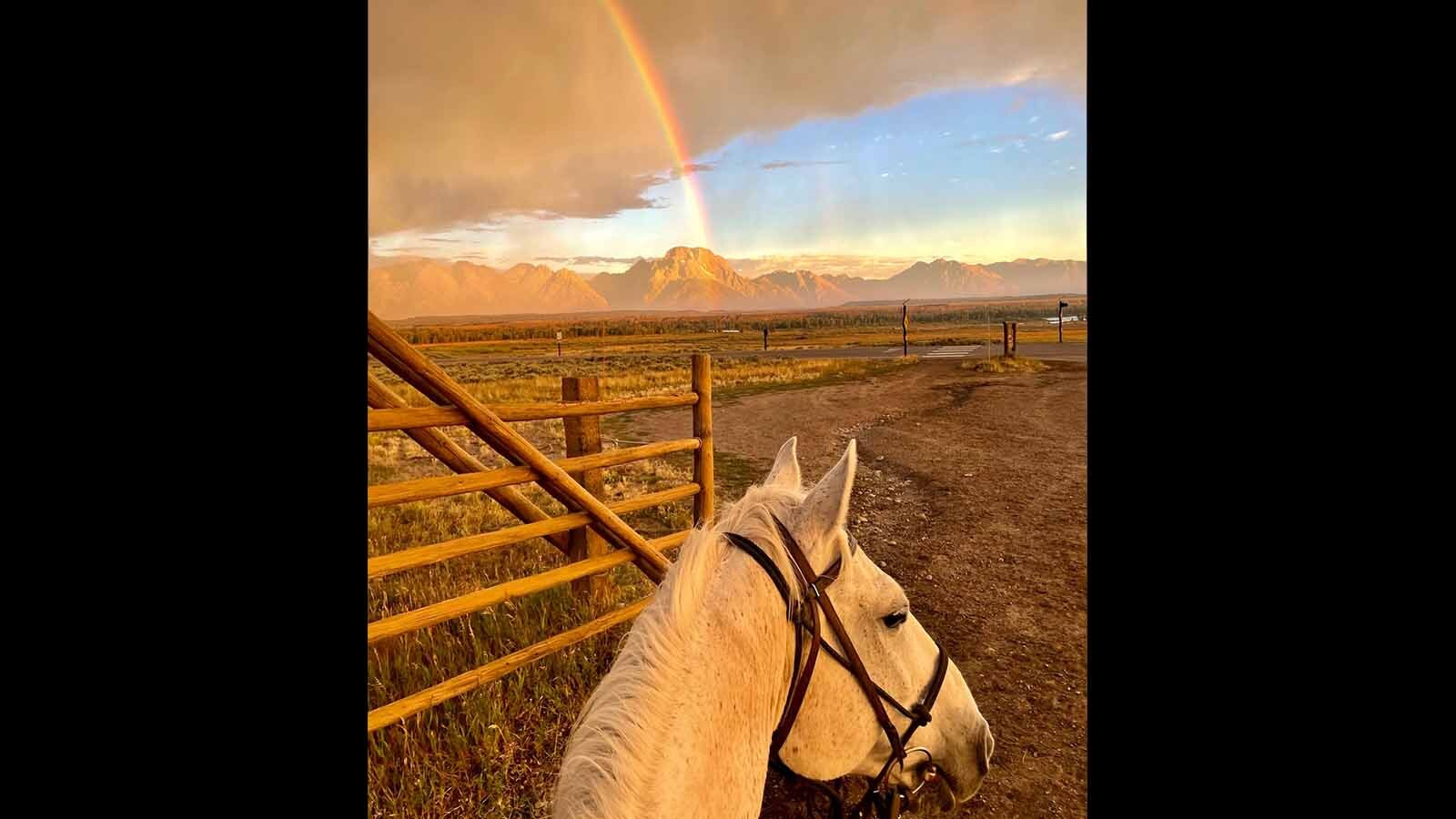 Triangle X Ranch At 100: Fifth Generation Leads Legendary Wyoming Dude ...