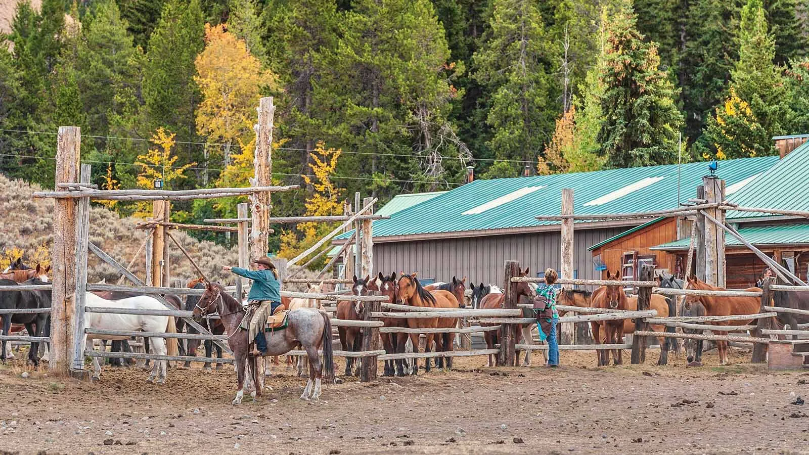 Triangle X Ranch At 100: Fourth Generation Leads Legendary Wyoming Dude ...