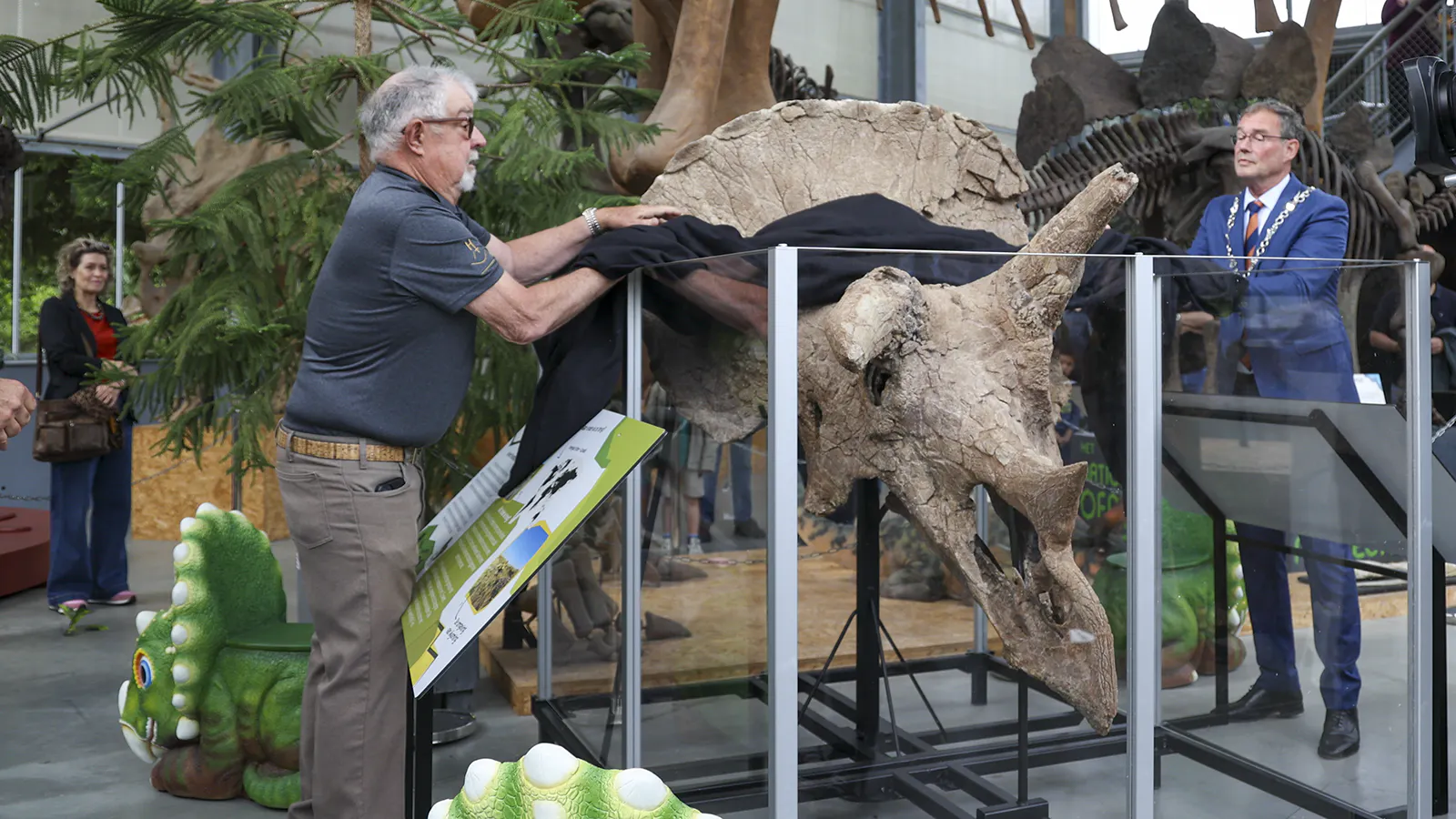 “Veronika,” an extremely rare near-perfect Triceratops skull from eastern Wyoming, has been unveiled in a museum in the Netherlands. “The preparation, mounting, and remodeling of the missing pieces took 1,500 hours,” said the museum curator.