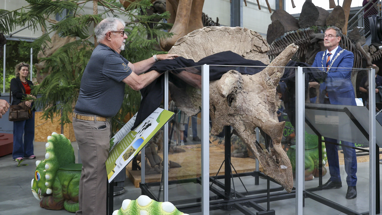 “Veronika,” an extremely rare near-perfect Triceratops skull from eastern Wyoming, has been unveiled in a museum in the Netherlands. “The preparation, mounting, and remodeling of the missing pieces took 1,500 hours,” said the museum curator.