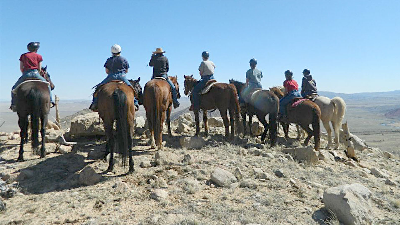 Trinity teen solutions 2 11 1 22