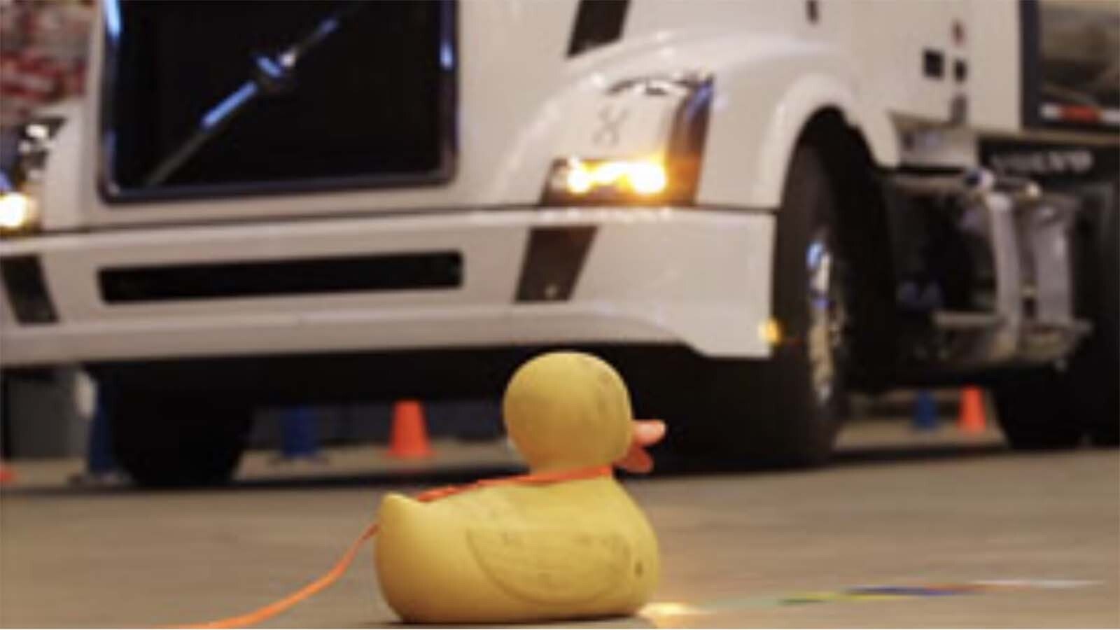 It’s the rubber duckies versus the truckers at the National Truck Driving and Step Van Driving Championships in Minneapolis, Minnesota. Truck drivers must get in as close as they dare without squishing the little duckies and losing valuable points during the competition. The term “respect the duck” was coined as a result.