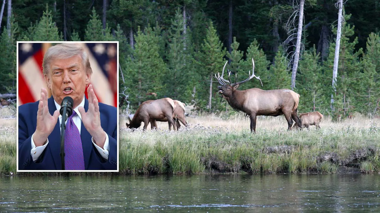 Trump Moves To Open National Parks, Other Federal Lands, To More HuntingMark HeinzMay 11, 2026