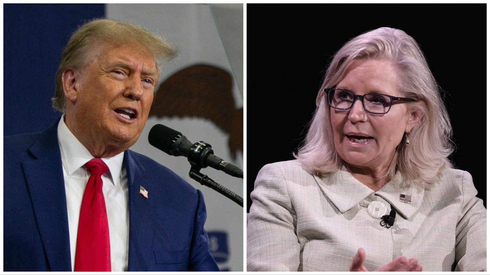 Former President Donald Trump and former U.S. Rep. Liz Cheney.