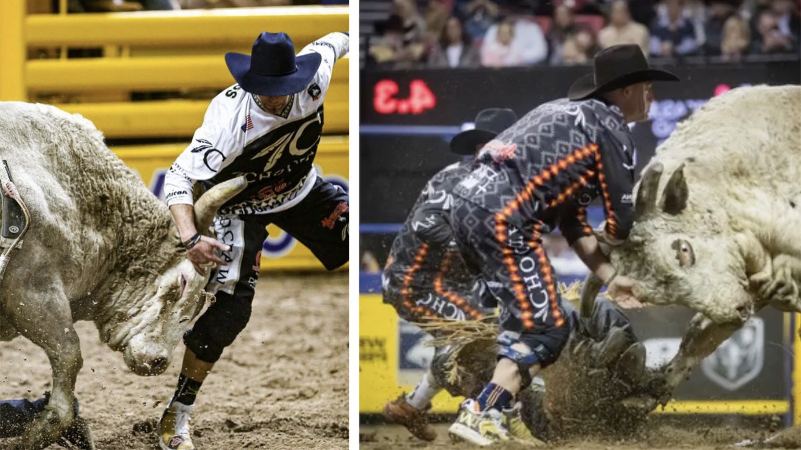 When the situation calls for it, Dusty Tuckness will get hands-on with a bull.