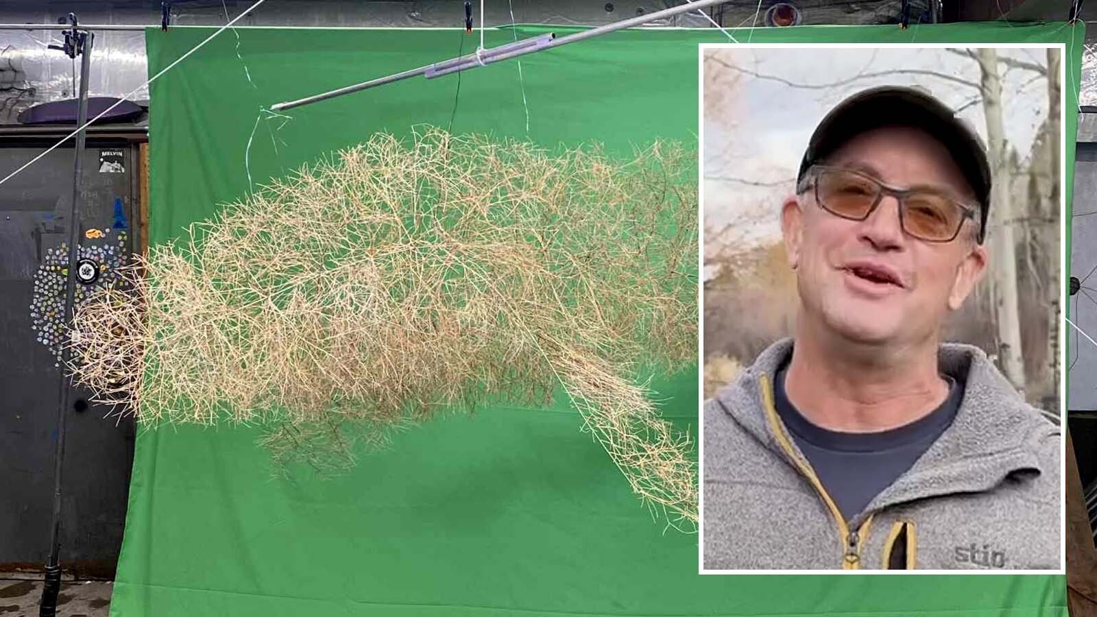 Jackson artist Ben Roth is collecting 300 pounds of tumbleweed to create a 70-foot-long "tumblewhale" for the new Central Wyoming College camopus being built in Jackson. The finished sculpture will hang over the heads of students and visitors, who will be able to move it "like a giant marionette."