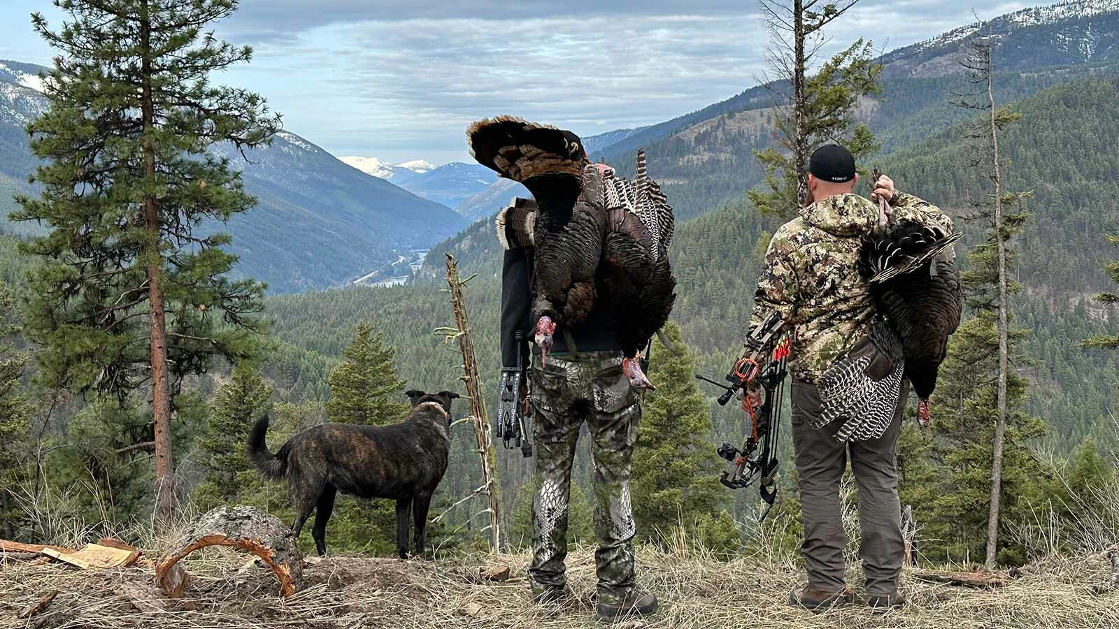 Turkey hunters say that it’s a great way to get out during springtime in Wyoming. Spring turkey season opens April 20.