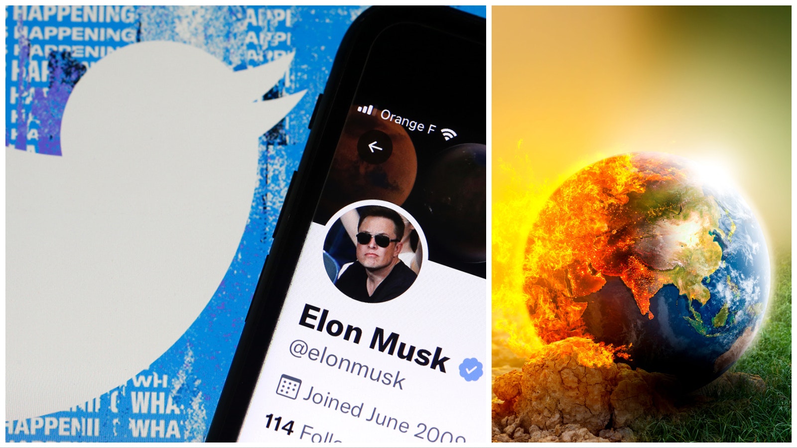 Since Elon Musk's takeover of Twitter, the percentage increase in followers of climate “delayer/denier” users has been far greater than climate change activists.