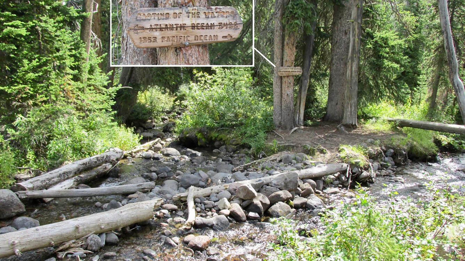 Parting of the Waters is a spot in Wyoming where water from North Two Ocean Creek can flow to either the Pacific Ocean to the west or Atlantic to the east. This wooden sign indicates it’s 3,488 miles to the Atlantic and 1,353 miles to the Pacific.